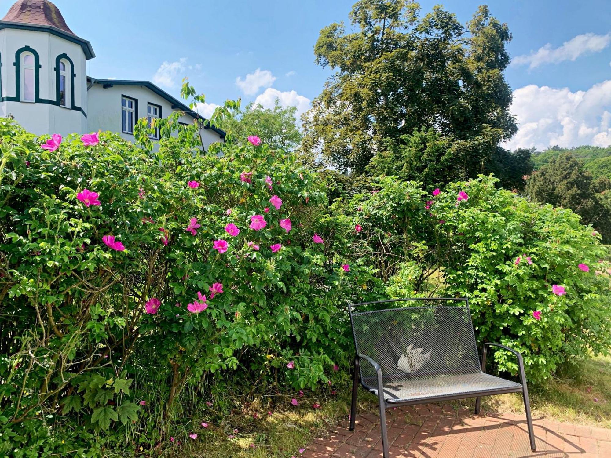 Ferienhaus Erika Heringsdorf  Bagian luar foto